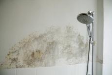 Moisissure dans la salle de bains